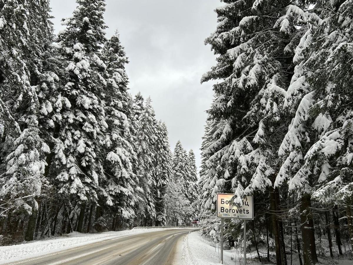 Apartments & Rooms Royal Plaza Borovets Dış mekan fotoğraf